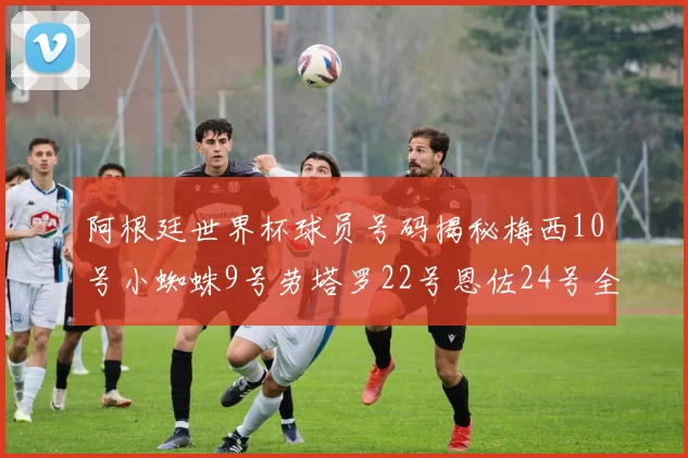 阿根廷世界杯球员号码揭秘梅西10号小蜘蛛9号劳塔罗22号恩佐24号全解析